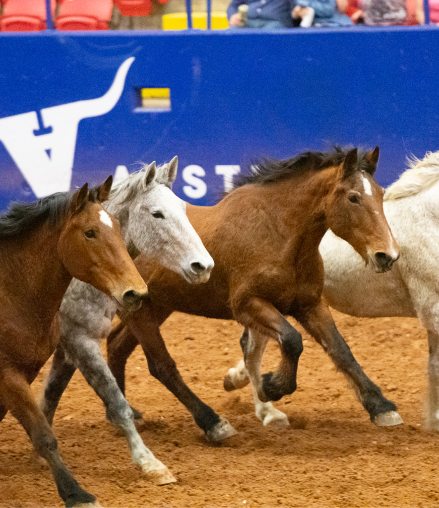 Austin Fair and Rodeo County Fair and Rodeo Near Me