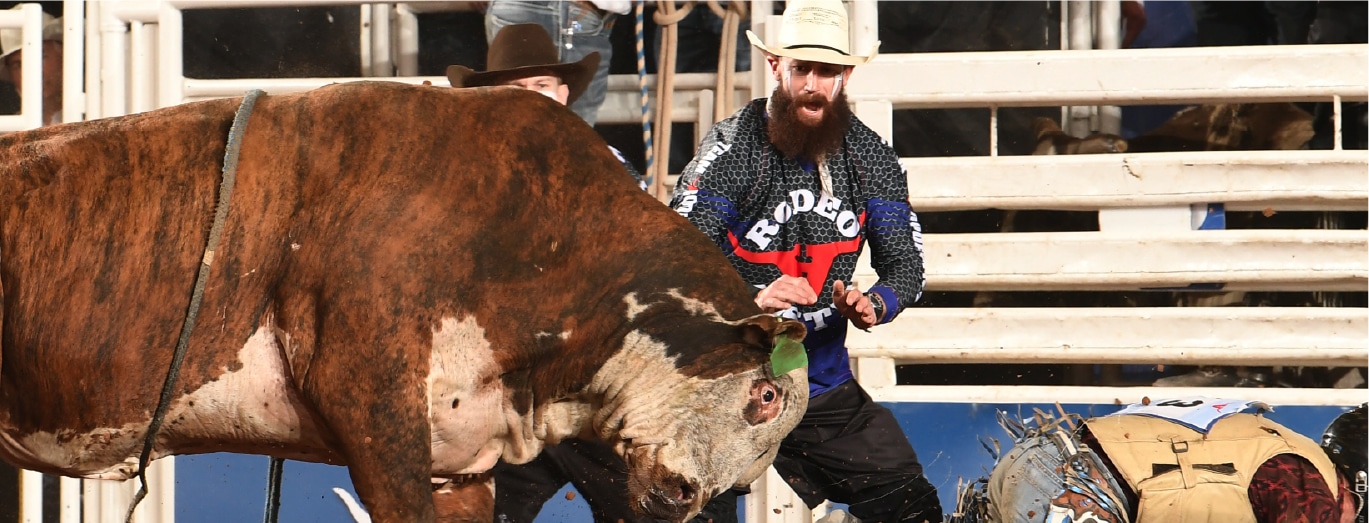 Rodeo Austin Bullfighter