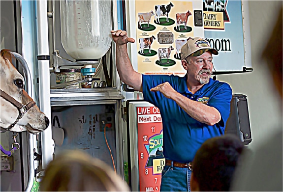 A man standing next to a cow talks to a group of school children about dairy farming.