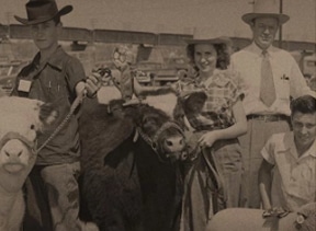 A group of people standing with two cows at the rodeo.