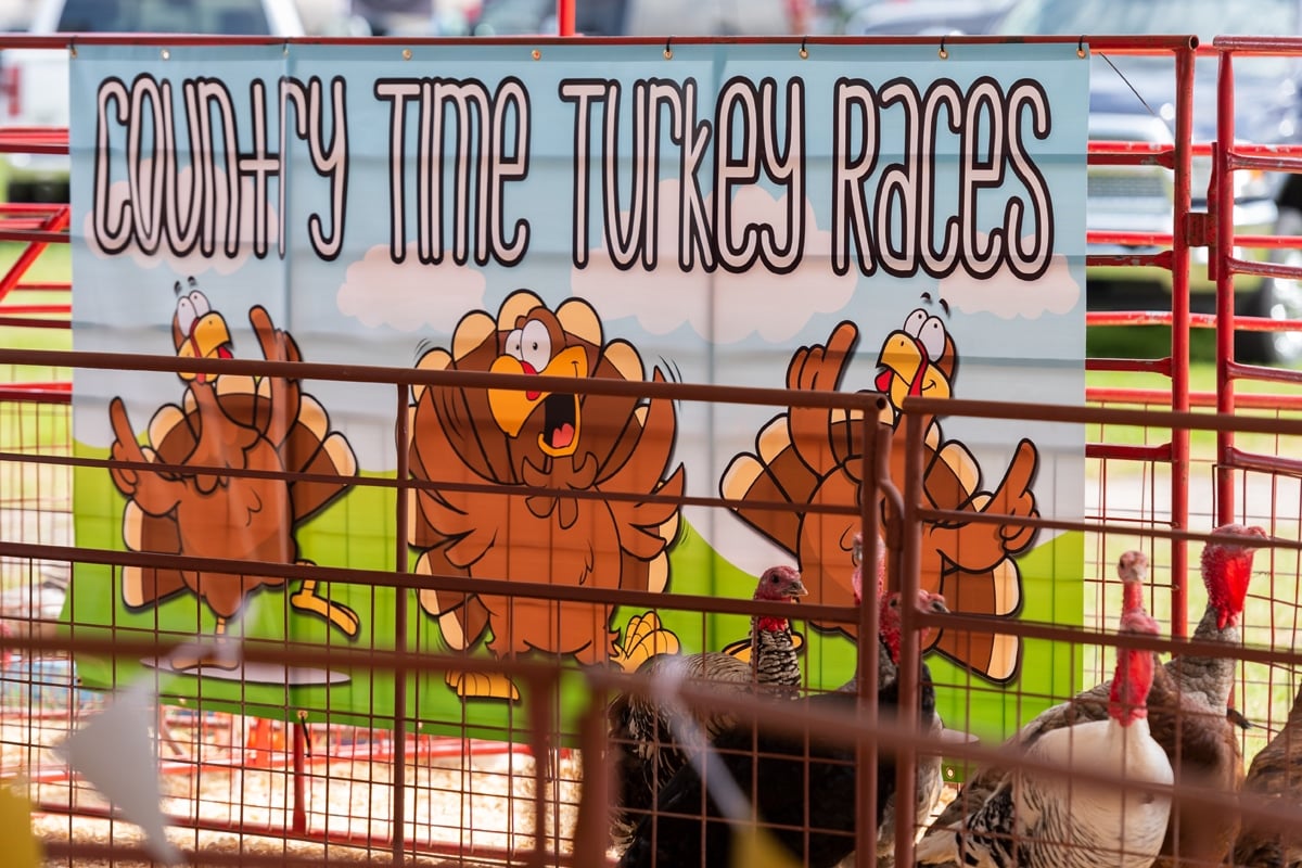Turkey Races at Rodeo Austin