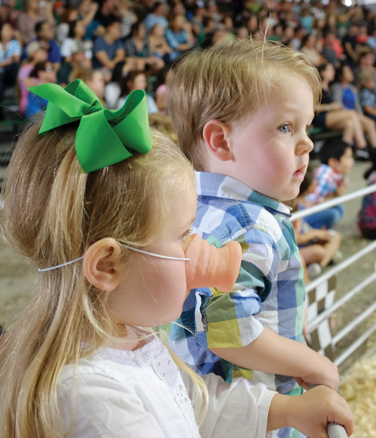 kids watching pig races at Rodeo Austin