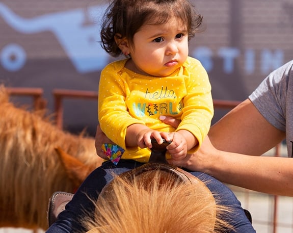 little girl at the pony rides