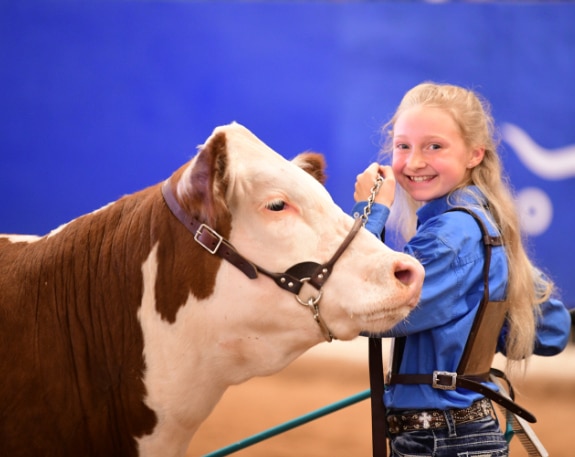 A young girl standing next to a brown and white cow.