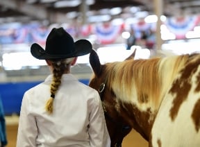 Young lady showing her paint horse