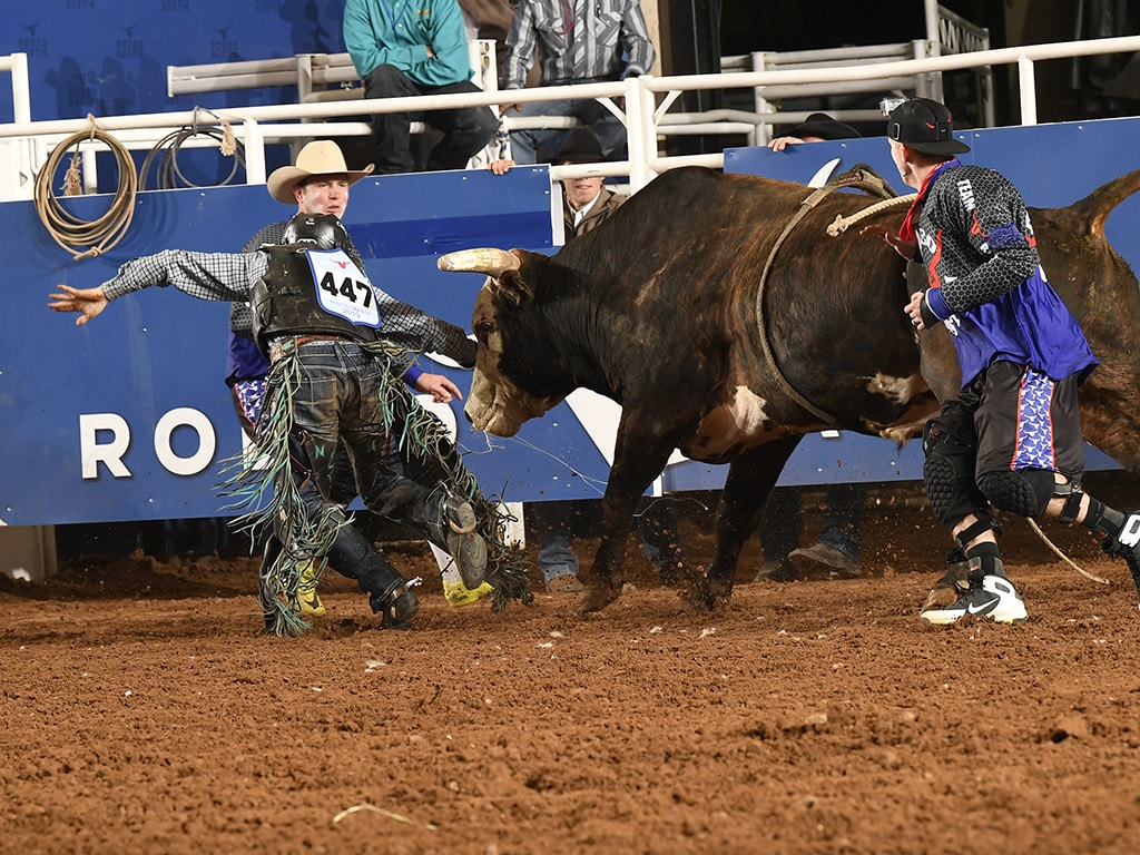 Cowboy gets chased by bull after being bucked off with bull fighters working to distract the bull to allow the cowboy to safely exit the arena.